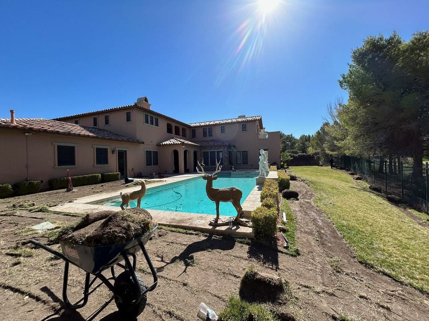 Backyard turf transformation — before