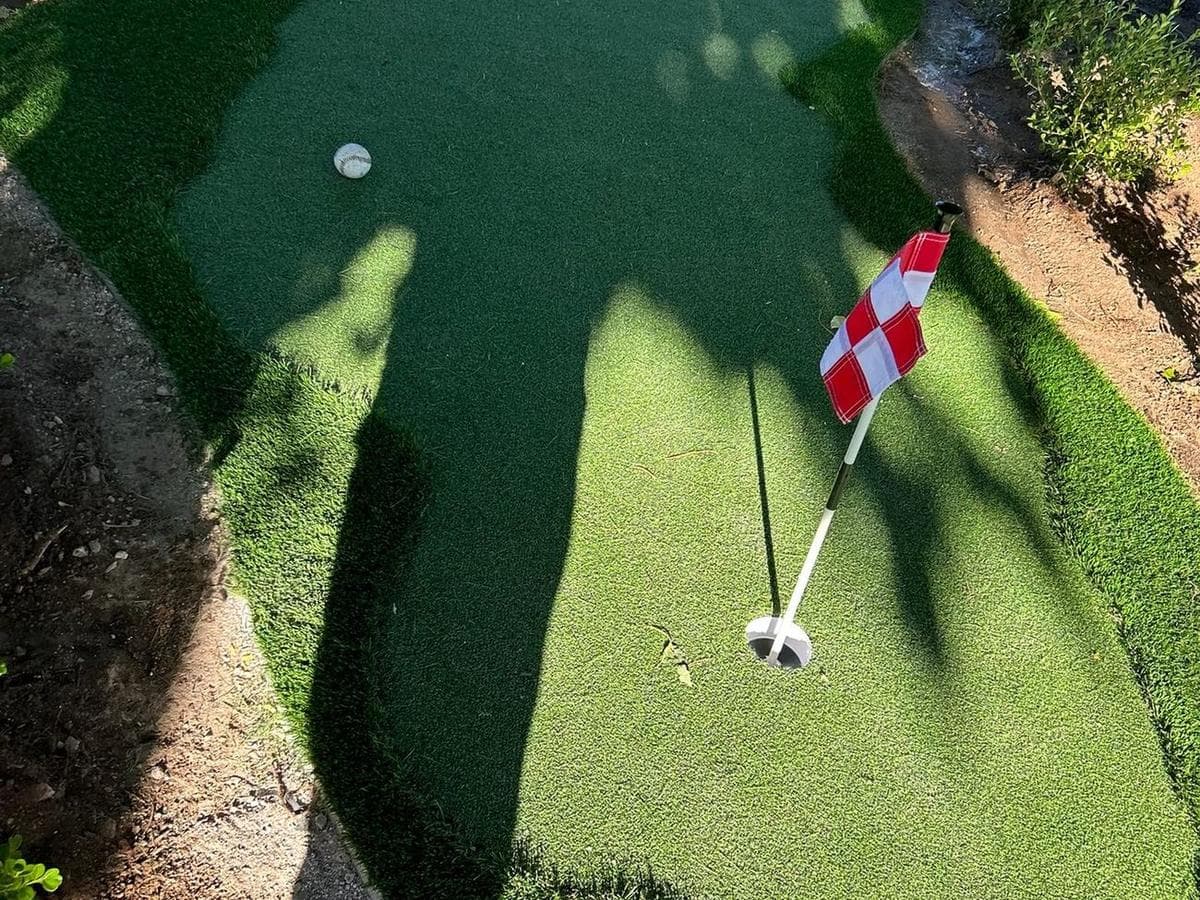 Backyard Putting Green & Flagstone Path — after 5