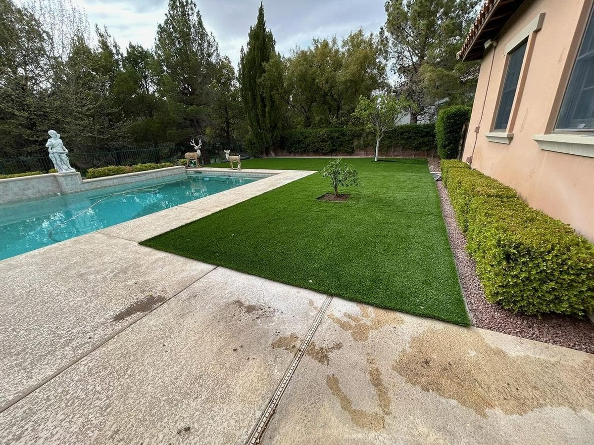 Estate Pool Lawn Replaced With Premium Turf — after 2